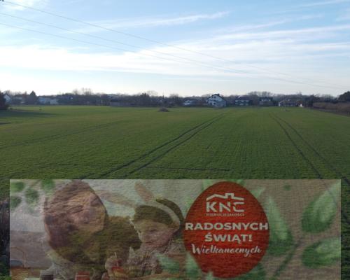 Działka rolno-budowlana 0,62 ha w Gołębiu k/Puław.