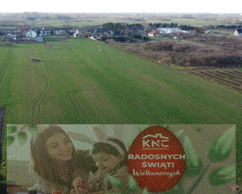 Działka rolno-budowlana 0,62 ha w Gołębiu k/Puław.