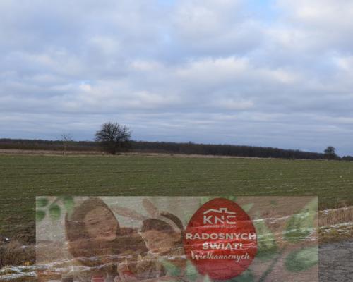 Działka w Wojszynie 30 a