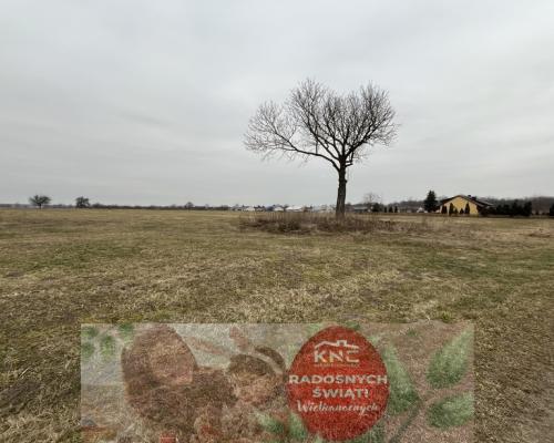 Działka pod zabudowę  w Czarnolesie gm. Policzna.