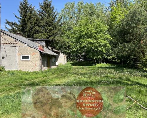 Siedlisko w Tymienicy Nowej gm. Chotcza p/lipski .