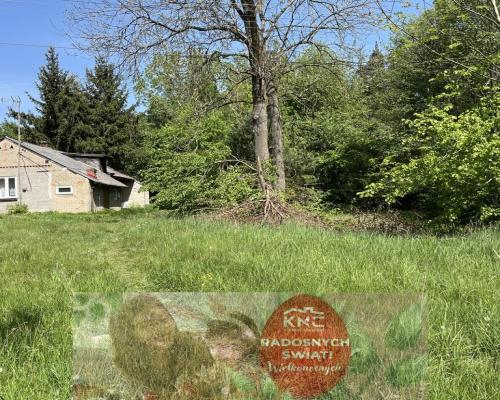 Siedlisko w Tymienicy Nowej gm. Chotcza p/lipski .