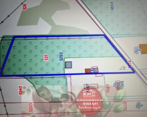 Siedlisko w Tymienicy Nowej gm. Chotcza p/lipski .