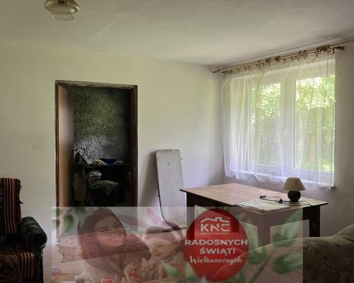 Siedlisko w Tymienicy Nowej gm. Chotcza p/lipski .