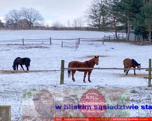 Siedlisko na wsi 35 km od Lublina.