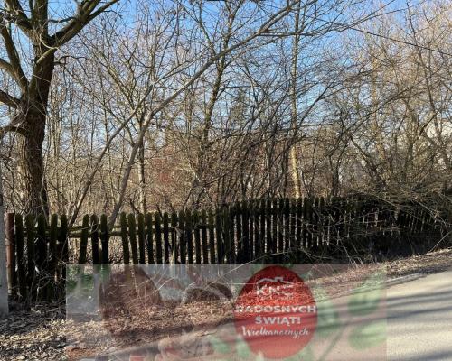 Duża działka z budynkiem we Wsoli blisko Radomia.