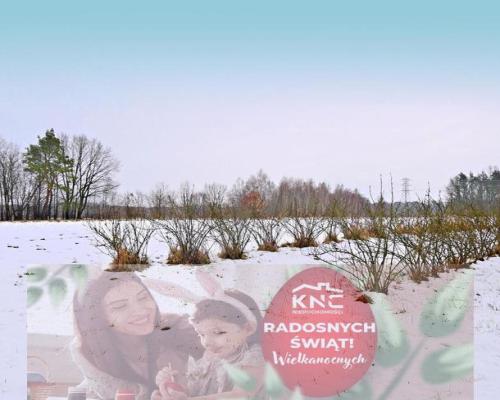 Działka pod Kazimierzem-16ar spokojna okolica!!