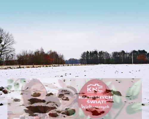 Działka pod Kazimierzem-16ar spokojna okolica!!