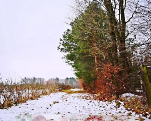 Działka pod Kazimierzem-16ar spokojna okolica!!