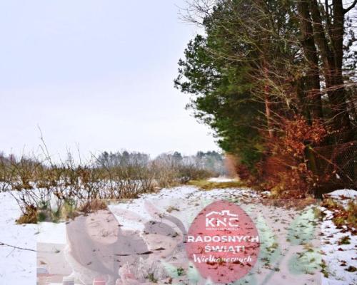 Działka pod Kazimierzem-16ar spokojna okolica!!