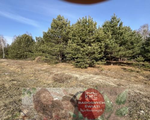 Działka z WZ w Wólce Gonciarskiej gm. Kazanów.