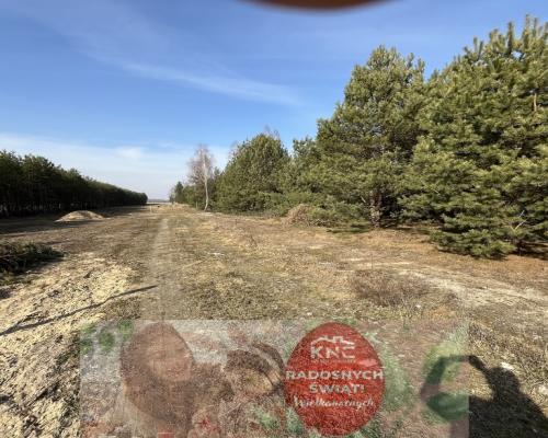 Działka z WZ w Wólce Gonciarskiej gm. Kazanów.