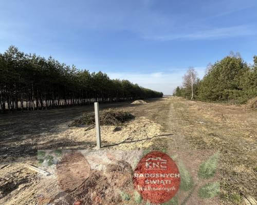 Działka z WZ w Wólce Gonciarskiej gm. Kazanów.