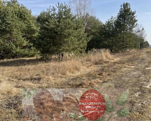 Działka z WZ w Wólce Gonciarskiej gm. Kazanów.