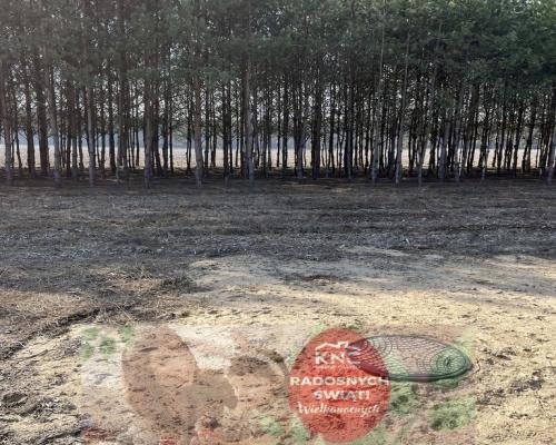 Działka z WZ w Wólce Gonciarskiej gm. Kazanów.