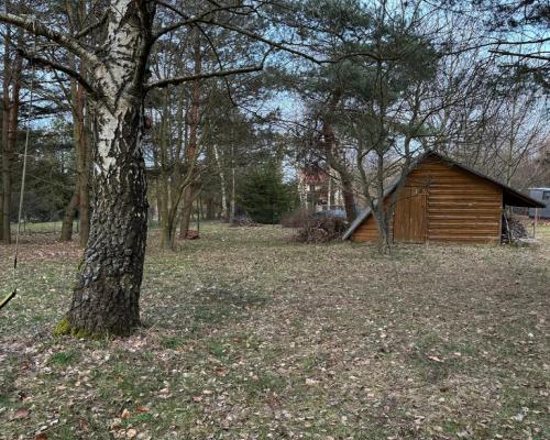 Kłobuck, ul. Mikołaja Reja | Dom z bali