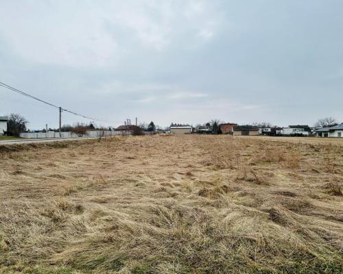 Kochanowice, ul. Brzozowa | Działki budowlane