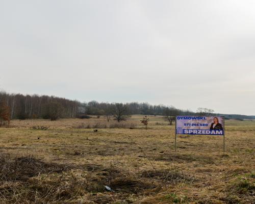 Kolonia Brzeziny Wielkie | Działka na sprzedaż