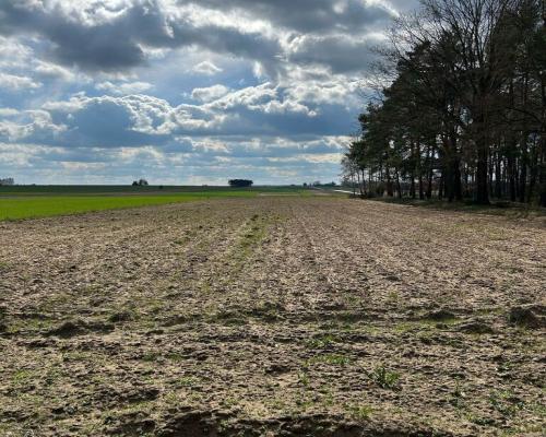 Górki Gmina Przystajń | Działka na sprzedaż
