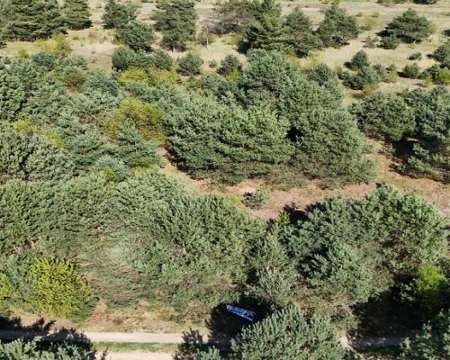 Konopiska, Brylantowa | Działka budowlana