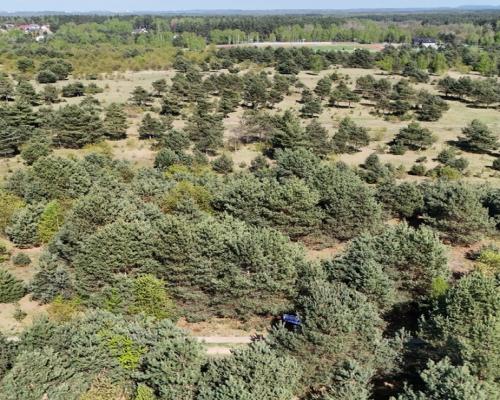 Konopiska, Brylantowa | Działka budowlana