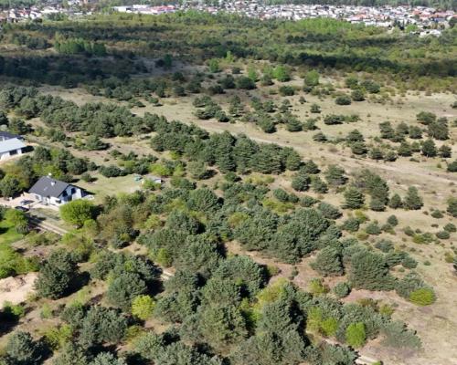 Konopiska, Brylantowa | Działka budowlana