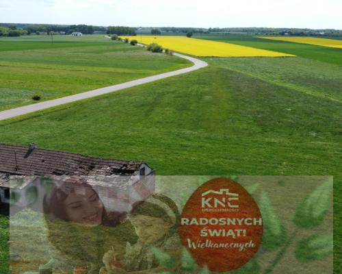 Działka pod zabudowę  w Czarnolesie gm. Policzna.