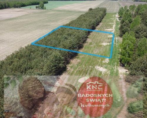 Działka z WZ w Wólce Gonciarskiej gm. Kazanów.
