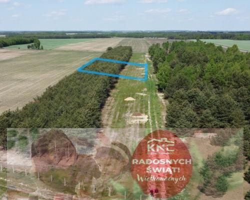 Działka z WZ w Wólce Gonciarskiej gm. Kazanów.