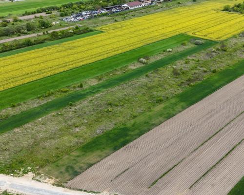 Pajęczno ul. Długa | Działka budowlana na sprzedaż
