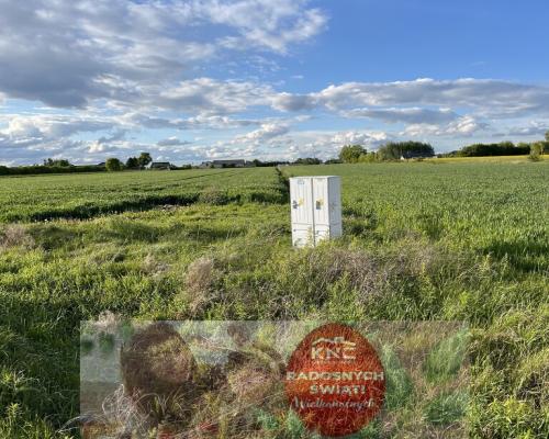 Działka 14816 m2 z WZ w gm. Przyłęk pow. Zwoleń.