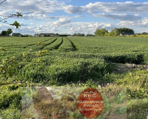 Działka 14816 m2 z WZ w gm. Przyłęk pow. Zwoleń.