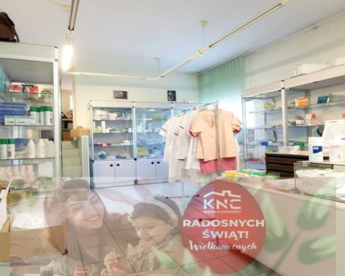 Lokal handlowo-usługowy, 137,6 m2, parter, Czechów