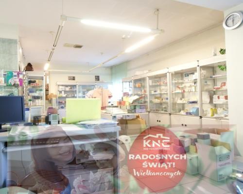 Lokal handlowo-usługowy, 137,6 m2, parter, Czechów