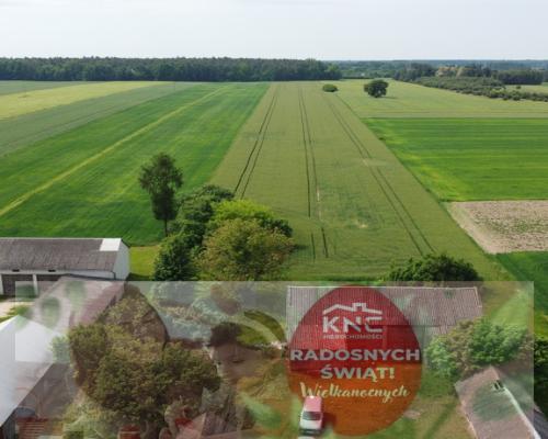 Działka rolna 3 ha w Jasieńcu Soleckim (zwoleński)