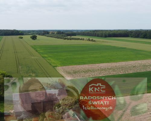 Działka rolna 3 ha w Jasieńcu Soleckim (zwoleński)