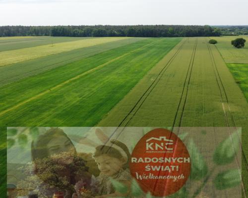 Działka rolna 3 ha w Jasieńcu Soleckim (zwoleński)