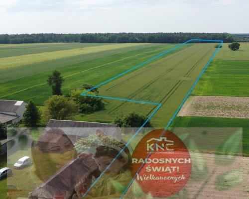 Działka rolna 3 ha w Jasieńcu Soleckim (zwoleński)