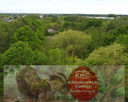 Duża działka z budynkiem we Wsoli blisko Radomia.