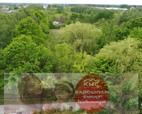 Duża działka z budynkiem we Wsoli blisko Radomia.