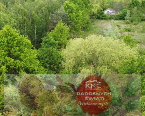 Duża działka z budynkiem we Wsoli blisko Radomia.