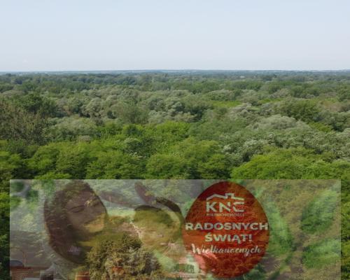 Siedlisko w Kaliszanach Kolonii gm. Józefów