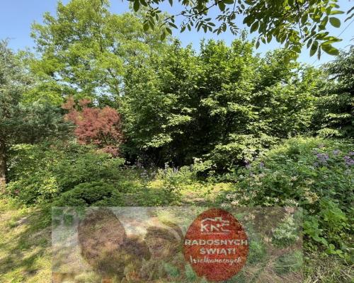 Siedlisko w Kaliszanach Kolonii gm. Józefów