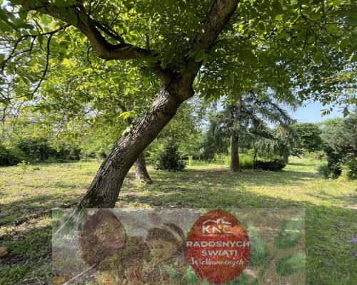 Siedlisko w Kaliszanach Kolonii gm. Józefów