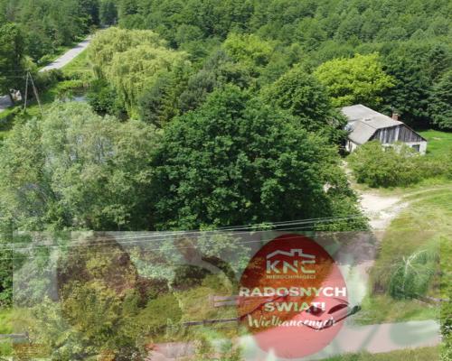 Dwa domy na dużej działce 100 km. od Warszawy.