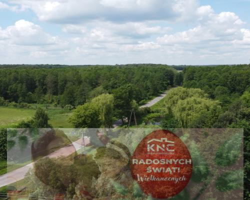 Dwa domy na dużej działce 100 km. od Warszawy.