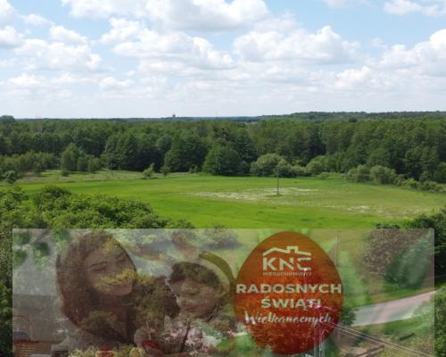 Dwa domy na dużej działce 100 km. od Warszawy.