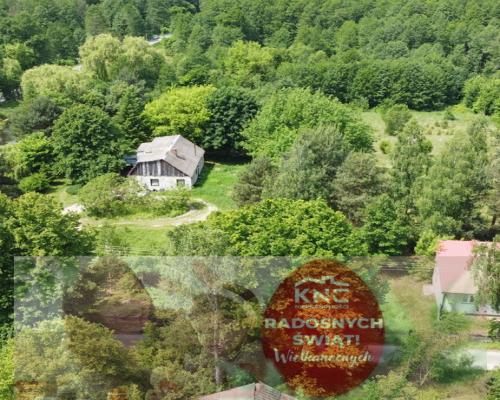 Dwa domy na dużej działce 100 km. od Warszawy.