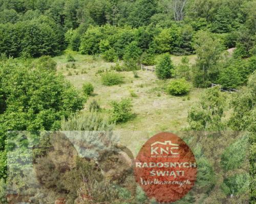 Dwa domy na dużej działce 100 km. od Warszawy.