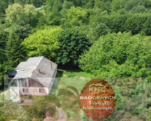 Dwa domy na dużej działce 100 km. od Warszawy.